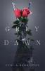 Grey Dawn: A Tale of Abolition and Union