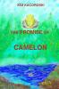 The Promise of Camelon: Book One of the Camelon Series: 1