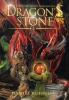 The Dragon's Stone: 1 (Dark Heart Chronicles)