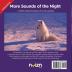 More Sounds of the Night: A Child's Interactive Book of Fun & Learning