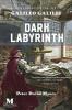 Dark Labyrnith: A Novel Based on the Life of Galileo Galilei