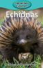 Echidnas: 14 (Elementary Explorers)