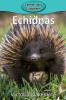 Echidnas: 14 (Elementary Explorers)