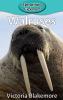 Walruses: 15 (Elementary Explorers)