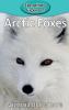 Arctic Foxes: 19 (Elementary Explorers)