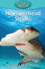 Hammerhead Sharks: 33 (Elementary Explorers)