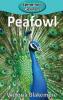 Peafowl: 36 (Elementary Explorers)