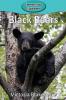 Black Bears: 40 (Elementary Explorers)