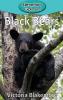 Black Bears: 40 (Elementary Explorers)