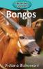 Bongos: 56 (Elementary Explorers)