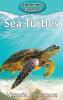 Sea Turtles: 57 (Elementary Explorers)