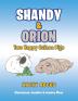 Shandy & Orion: Two Happy Guinea Pigs