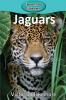 Jaguars: 67 (Elementary Explorers)