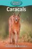 Caracals: 81 (Elementary Explorers)