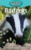 Badgers: 82 (Elementary Explorers)