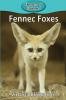 Fennec Foxes: 93 (Elementary Explorers)