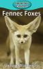 Fennec Foxes: 93 (Elementary Explorers)