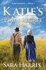 Katie's Plain Regret: 1 (Amish Journeys)