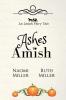 Ashes to Amish: A Plain Fairy Tale: 1 (Plain Fairy Tales)