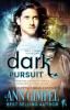 Dark Pursuit: Apocalyptic Urban Fantasy: 2 (Soul Storm)