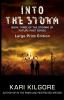 Into the Storm: 3 (Storms of Future Past)