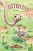 Ostriches: 1 (Nature Study Library)