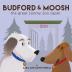 Budford and Moosh The Great Zoomy Zoo Caper: 1 (Adventures of Budford and Moosh)