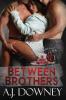 Between Brothers: The Sacred Brotherhood Book IV