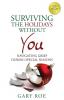 Surviving the Holidays Without You: Navigating Grief During Special Seasons: 1 (Good Grief)