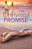 The Driftwood Promise: 2 (Sea Glass Cove)