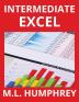 Intermediate Excel: 2 (Excel Essentials)