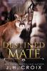 Destined Mate: 4 (Catamount Lion Shifters)