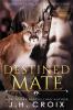 Destined Mate: 4 (Catamount Lion Shifters)