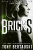 Bricks (Large Print Edition): A Technothriller: 3 (Halfskin)