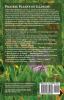 Prairie Plants of Illinois: A Field Guide to the Wildflowers and Prairie Grasses of Illinois and the Midwest