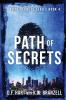 Path of Secrets: Vital Secrets Book Four