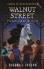 Walnut Street: Phantom Rider: 3 (The Botanic Hill Detectives Mysteries)