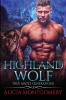 Highland Wolf: True Mates Generations Book 5