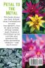 Petal to the Metal: Growing Gorgeous Houseplants: 5 (Easy-Growing Gardening)