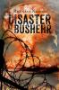 Disaster at Bushehr