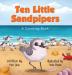 Ten Little Sandpipers: A Counting Book