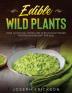 Edible Wild Plants: Over 111 Natural Foods and Over 22 Plant- Based Recipes On A Budget For 2021