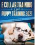 E Collar Training AND Puppy Training 2021 (2 Books IN 1)