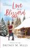 Love in a Blizzard: Christmas at the Lodge: 1 (Christmas at Coldwater Creek)