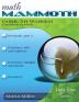 Math Mammoth Grade 5-B Worktext Canadian Version