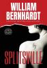 Splitsville: 1 (Splitsville Legal Thriller)