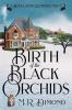 Birth of the Black Orchids: A Light-Hearted Christmas Tale of Going Home Starting Over and Murder-With Cats: 1 (A Black Orchids Enterprises Mystery)