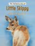 The Adventures of Little Skippy