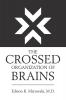 The Crossed Organization of Brains