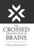 The Crossed Organization of Brains